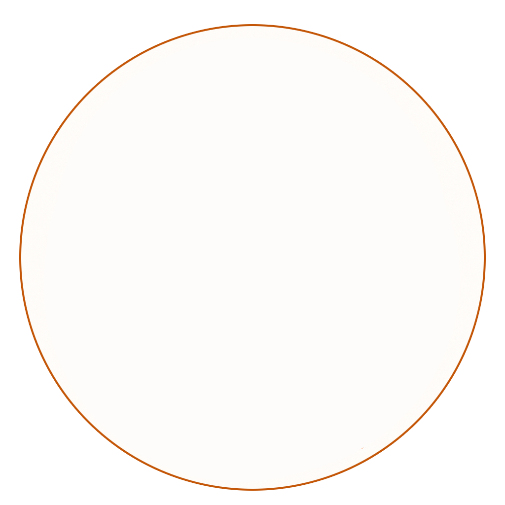 Blue Whales Snorkeling Mirissa with Tuna Fishing